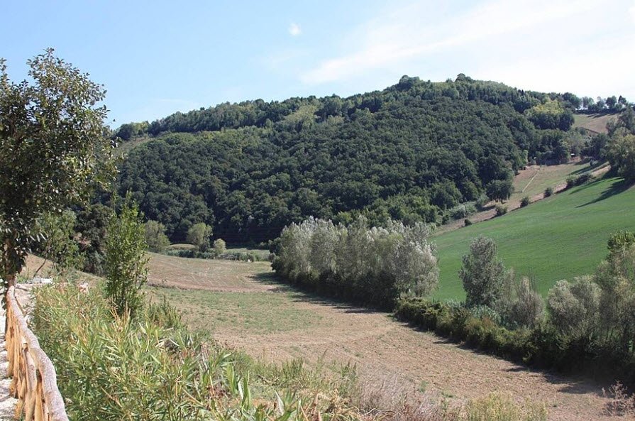 Orto Botanico dell'Università Politecnica delle Marche, Italy, Italy